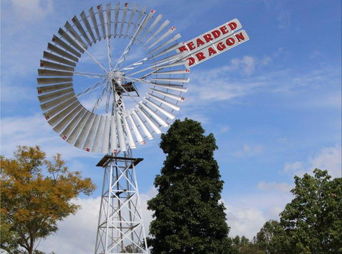 Bearded Dragon Hotel - Hervey Bay Accommodation 0
