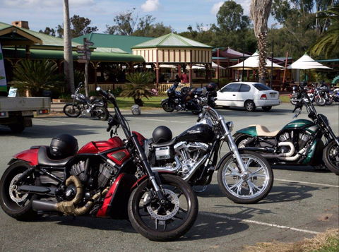 Bearded Dragon Hotel - Hervey Bay Accommodation 2