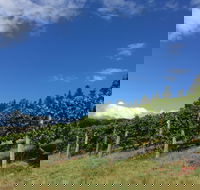 Freycinet Vineyard - Hervey Bay Accommodation