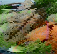 Green Bamboo - Hervey Bay Accommodation