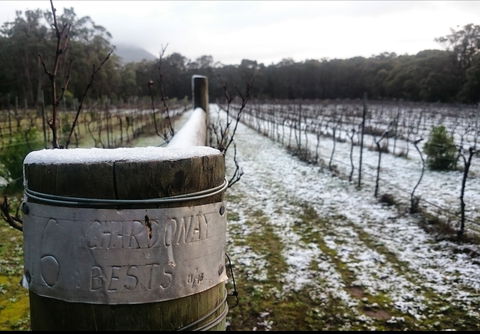 Mount Buninyong Winery - Tourism Hervey Bay 1