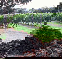 Spring Vale Vineyard - Hervey Bay Accommodation