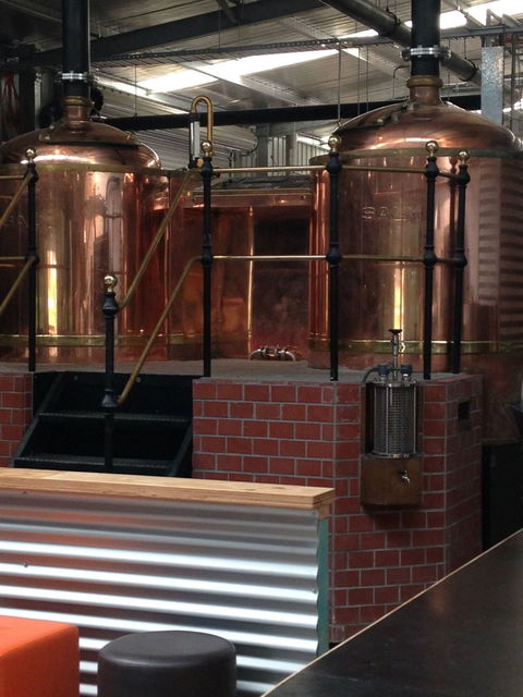 Social Bandit Brewing Co - Hervey Bay Accommodation 2