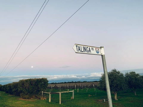 Talinga Grove - Tourism Hervey Bay 2
