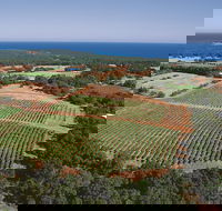 Wise Wine - Hervey Bay Accommodation