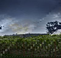 Dalrymple Vineyards - Tourism Hervey Bay