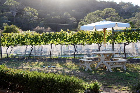 Every Man And His Dog Vineyard - Hervey Bay Accommodation 2