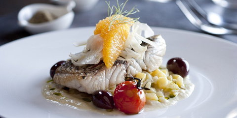 Modo Mio - Hervey Bay Accommodation 0