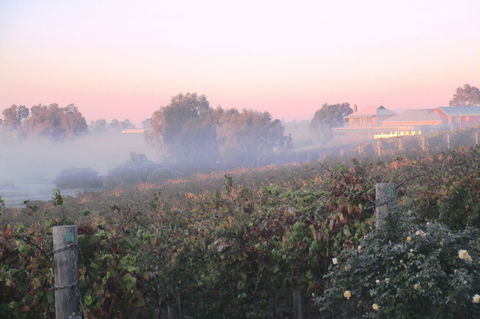 Sittella Winery & Restaurant - Tourism Hervey Bay 1
