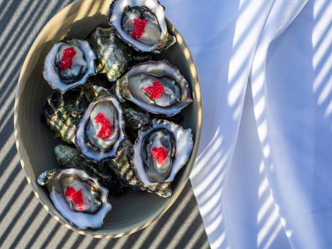 The Rocks - Restaurant, Bar, Pool Club - Hervey Bay Accommodation 1