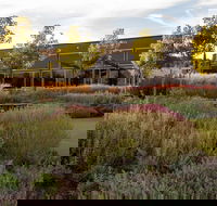 Barossa Valley Estate Cellar Door  Gardens - Tourism Hervey Bay