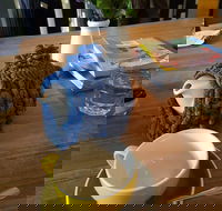 Espressohead - Tourism Hervey Bay