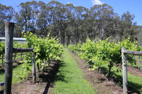 Woongooroo Estate Winery - Hervey Bay Accommodation 0