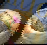 Wrap It Kebabs  Falafel - Hervey Bay Accommodation