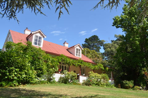Lazy Teas - Hervey Bay Accommodation 0