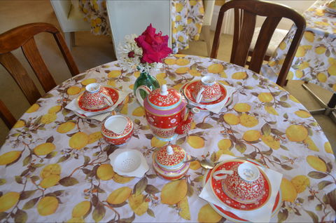Lazy Teas - Hervey Bay Accommodation 2