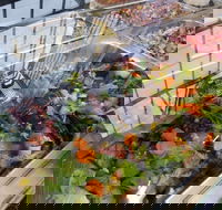 The Falafel Man - Hervey Bay Accommodation