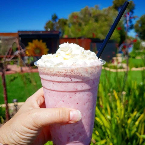 Flower Cellar Door And Cafe - Hervey Bay Accommodation 0
