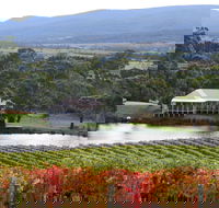 Milton Vineyard - Hervey Bay Accommodation