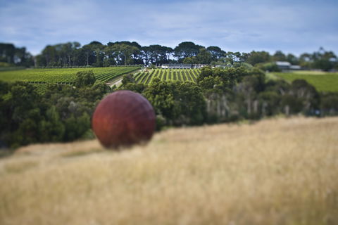 Montalto - Tourism Hervey Bay 2