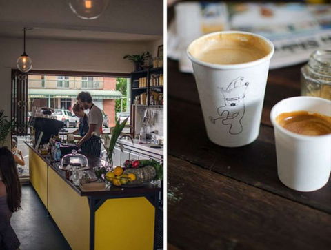 Punch And Daisy - Tourism Hervey Bay 0