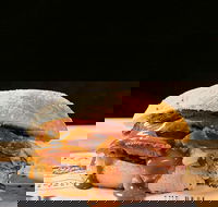 Sandwich Chefs - Hervey Bay Accommodation