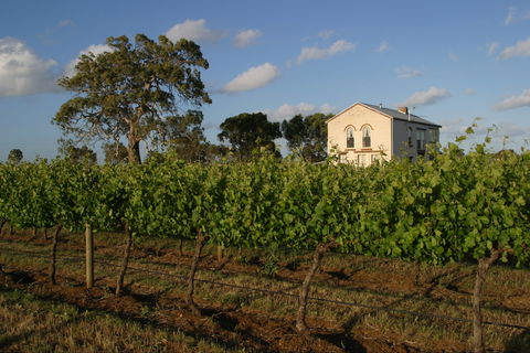 Highbank Vineyards - Hervey Bay Accommodation 0