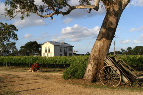Highbank Vineyards - Hervey Bay Accommodation 2