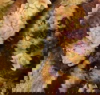 Silky Oak Espresso - Hervey Bay Accommodation