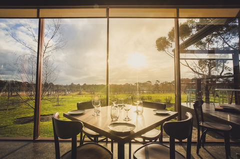 Stumpy Gully Vineyard - Tourism Hervey Bay 1
