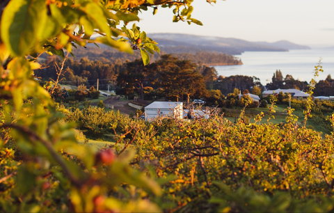 The Woodbridge Smokehouse - Hervey Bay Accommodation 0