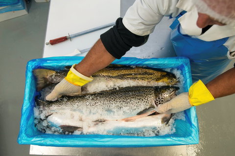 The Woodbridge Smokehouse - Hervey Bay Accommodation 1