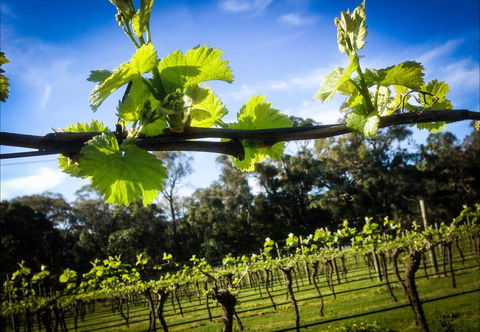 Michael Unwin Wines - Tourism Hervey Bay 1