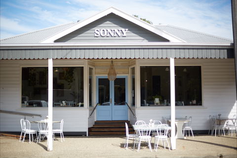 Sonny - Hervey Bay Accommodation 0