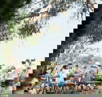 St Leonards Vineyard Caf - Hervey Bay Accommodation