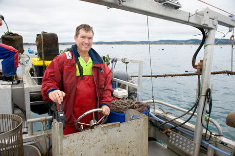 Peninsula Fresh Seafood - Hervey Bay Accommodation 1