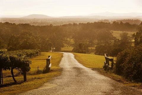 Petersons Wines - Tourism Hervey Bay 0