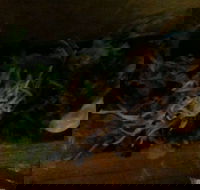 O Sushi - Tourism Hervey Bay