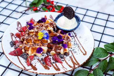 Shine Cafe - Hervey Bay Accommodation 0