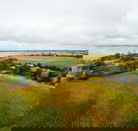 Pettavel Wines - Tourism Hervey Bay