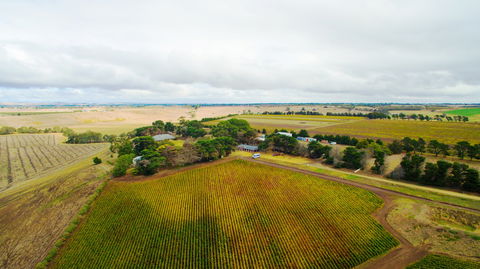 Pettavel Wines - Tourism Hervey Bay 0