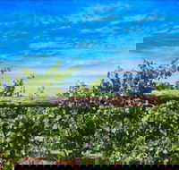 Rowsley Fault Vineyards - Tourism Hervey Bay