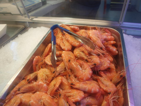 The Boatshed: Batemans Bay - Hervey Bay Accommodation 2