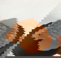 The Usual Joint - Hervey Bay Accommodation