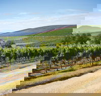 Jansz Tasmania - Tourism Hervey Bay