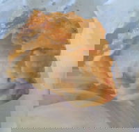 Promenade Fish Supply - Tourism Hervey Bay