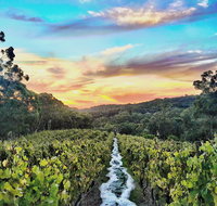 Between the Vines Cellar Door - Hervey Bay Accommodation