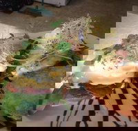 Cafe in the Mountains - Hervey Bay Accommodation