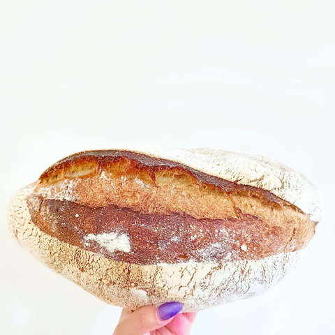 Dolcettini - Castle Hill - Hervey Bay Accommodation 0