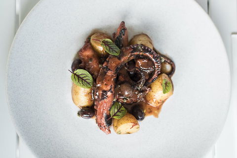 ReccoLab - Tourism Hervey Bay 0